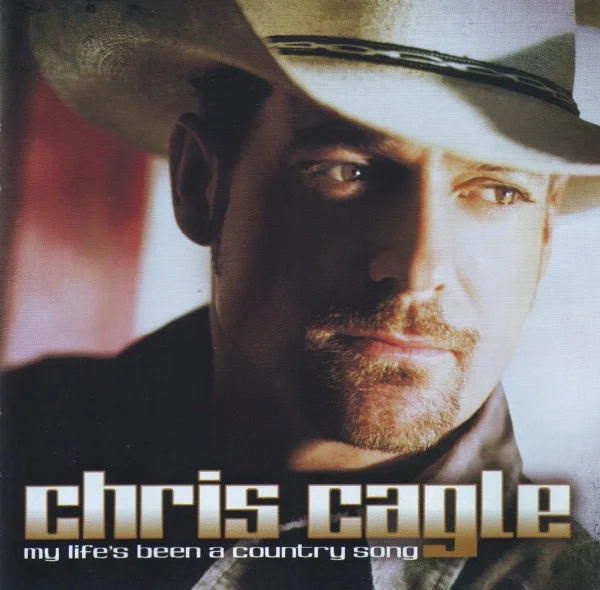 My Life's Been A Country Song