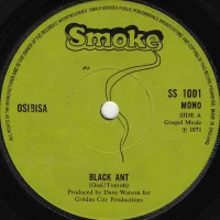 Black Ant / Kotoko