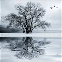 Winter Soulstice