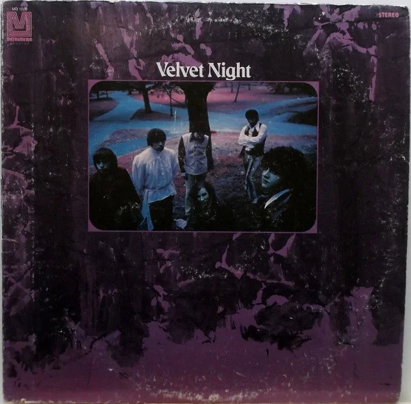 Velvet Night