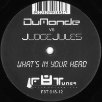 What's In Your Head