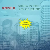 Songs In The Key Of Stupid