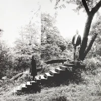 Timber Timbre
