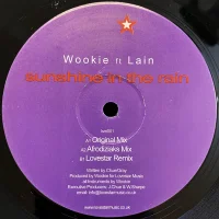 Sunshine In The Rain