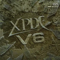 V6