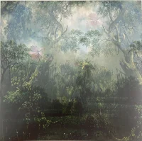 The Coloured Breeze Is A New Dimension