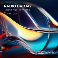Techenie Remixes Collection