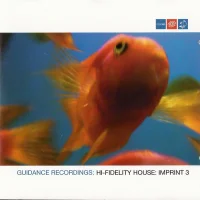 Hi-Fidelity House: Imprint 3