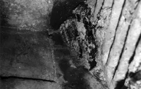Burnt Offering
