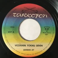 Vicdanın Yokmu Senin