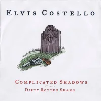 Complicated Shadows