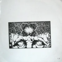 Bleeding Rectum / Man Is The Bastard