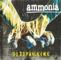 Sleepwalking