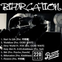 Bifurcation