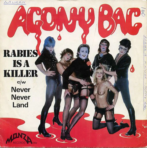 Rabies Is A Killer