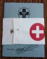 Harsh Nurse