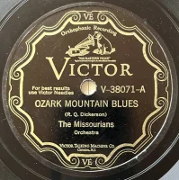 Ozark Mountain Blues / You'll Cry For Me, But I'll Be Gone