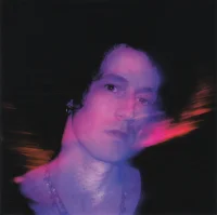Up In Flames