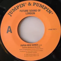 Papua New Guinea / Stolen Documents