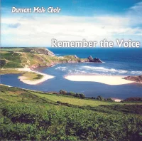 Remember The Voice