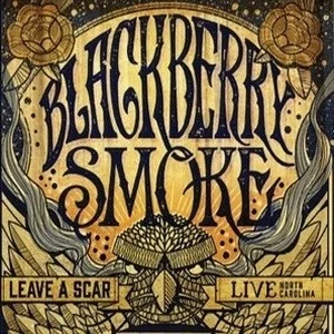 Leave A Scar Live