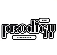 Experience