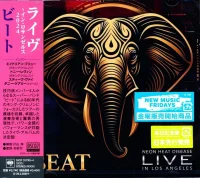 Neon Heat Disease Live In Los Angeles