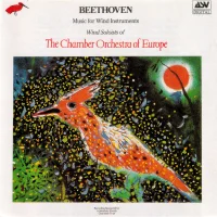 Music For Wind Instruments