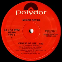 Canvas Of Life