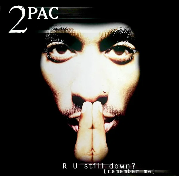 R U Still Down? [Remember Me]