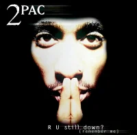 R U Still Down? [Remember Me]
