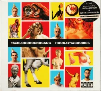 Hooray For Boobies