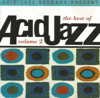 The Best Of Acid Jazz Volume 2