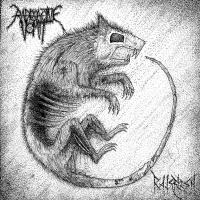 Ratsflesh