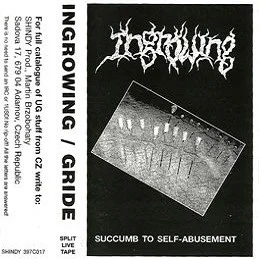 Succumb To Self-Abusement / Gride In Your Mind