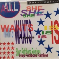 All She Wants Is (Shep Pettibone Remixes)