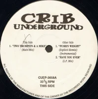 Two Turntables & A Mike / Pushin Weight / Have You Ever