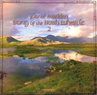 Song Of The Irish Whistle 2