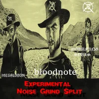 Experimental Noise Grind Split