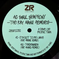 The Ray Mang Remixes