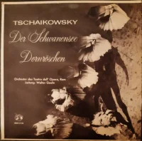 Der Schwanensee - Dornröschen