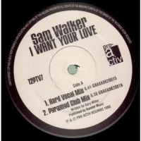 I Want Your Love