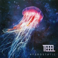 Hydrostatic