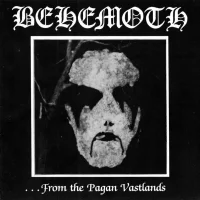 ...From The Pagan Vastlands