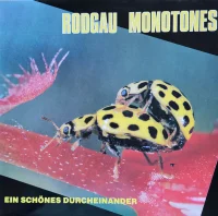 Ein Schönes Durcheinander