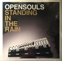Standing In The Rain