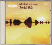 Aerial = 航空