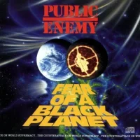 Fear Of A Black Planet