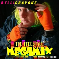 The Freestyle Megamix