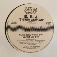 System Working